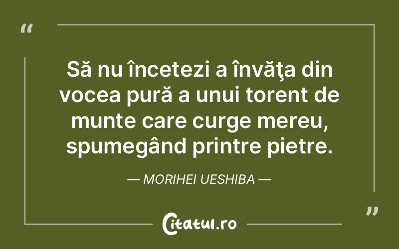 Citat Morihei Ueshiba - citate viata