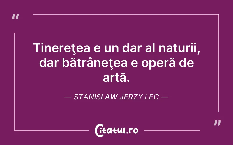 Citat Stanislaw Jerzy Lec - citate viata