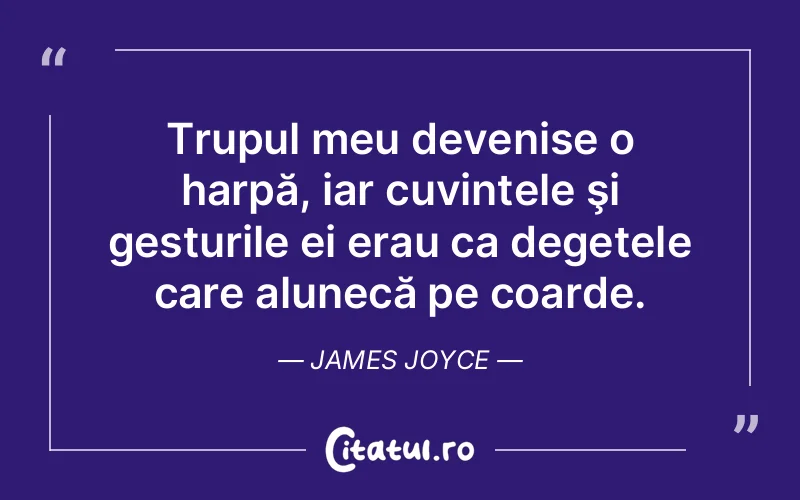 Citat James Joyce - citate viata