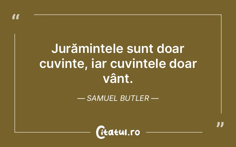 Citat Samuel Butler - citate viata