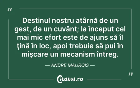 Cuvintele pe care le foloseşti în mod ... Cuvintele pe care le foloseşti în mod ...