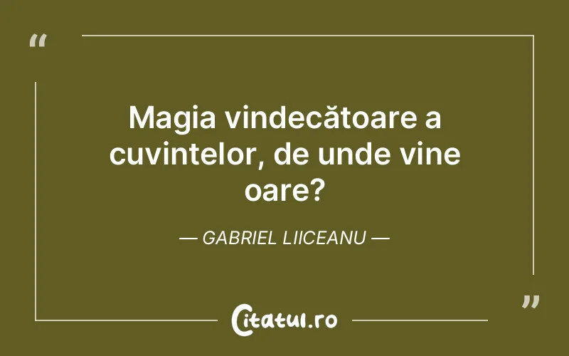 Citat Gabriel Liiceanu - citate viata