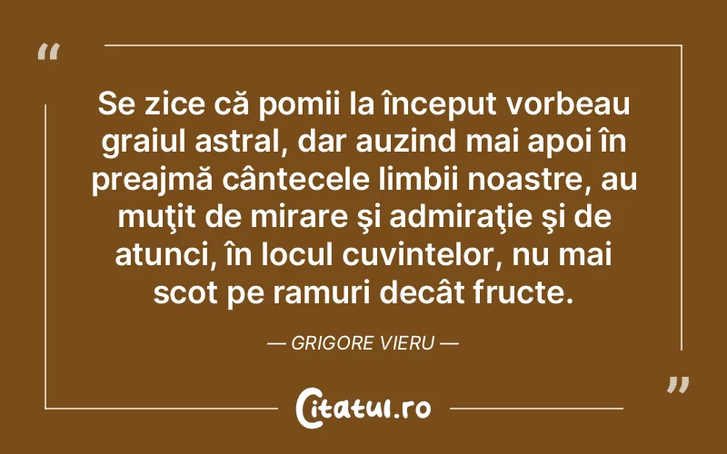 Citat Autor necunoscut - citate viata