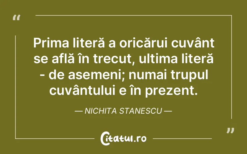 Citat Nichita Stanescu - citate viata