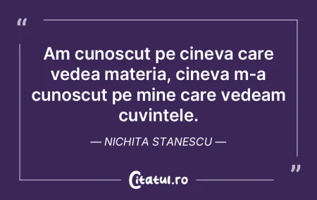 Cuvintele sunt umbra de aur în conştii...