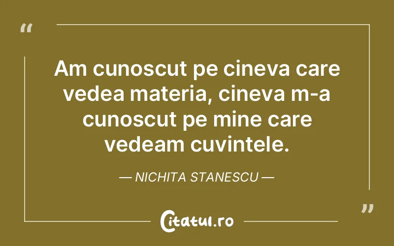 Citat Nichita Stanescu - citate viata