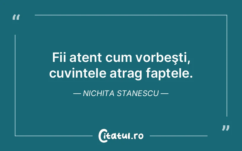 Citat Nichita Stanescu - citate viata