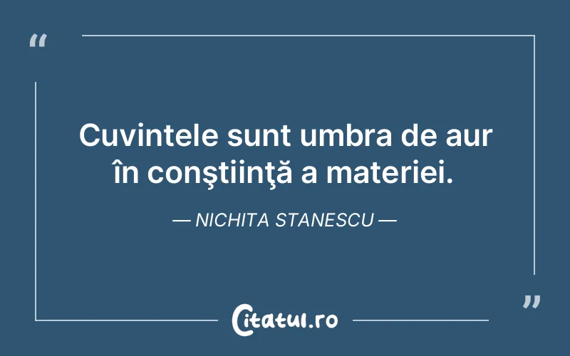 Citat Nichita Stanescu - citate viata