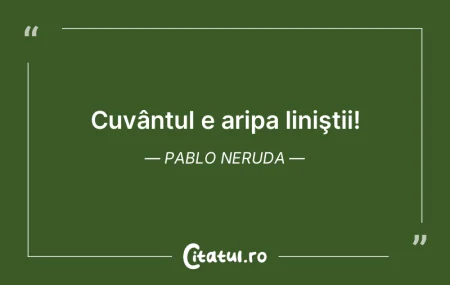 Celebritatea este înlocuirea cuvintelor...