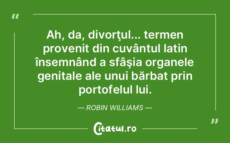 Citat Robin Williams - citate viata