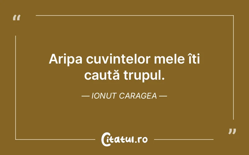 Citat Ionut Caragea - citate viata