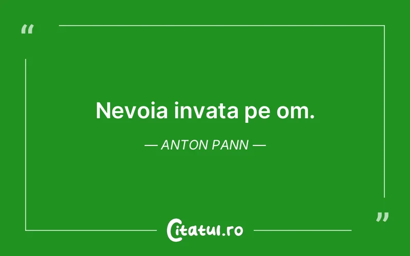 Citat Anton Pann - citate viata