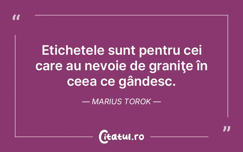 Citat Marius Torok - citate viata