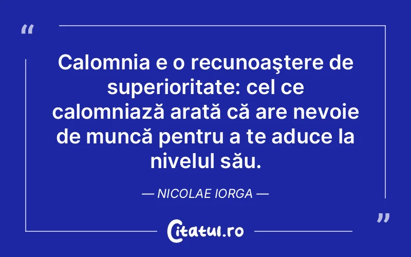 Citat Nicolae Iorga - citate viata