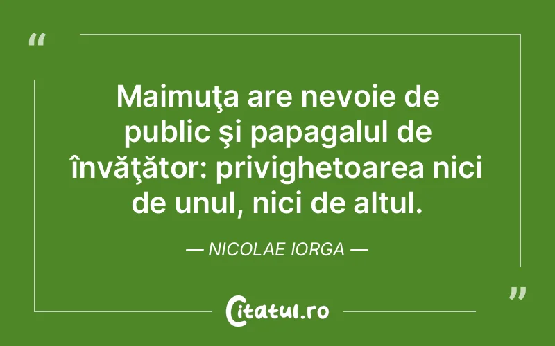 Citat Nicolae Iorga - citate viata