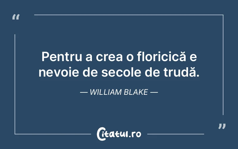 Citat William Blake - citate viata
