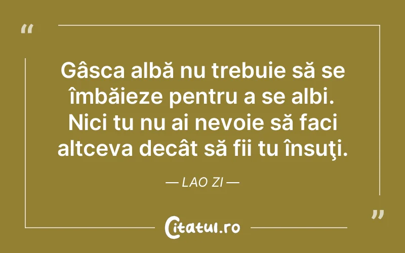 Citat Lao Zi - citate viata