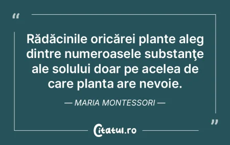 Doar cei mai inteligenţi au nevoie de o... Doar cei mai inteligenţi au nevoie de o...