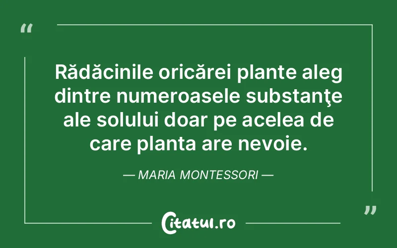 Citat Maria Montessori - citate viata