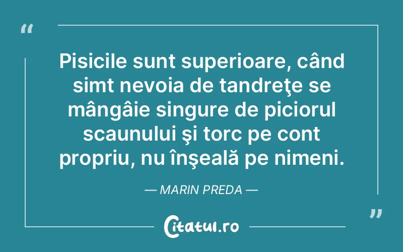 Citat Marin Preda - citate viata