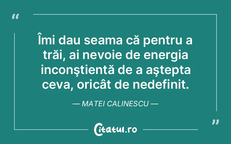 Citat Matei Calinescu - citate viata