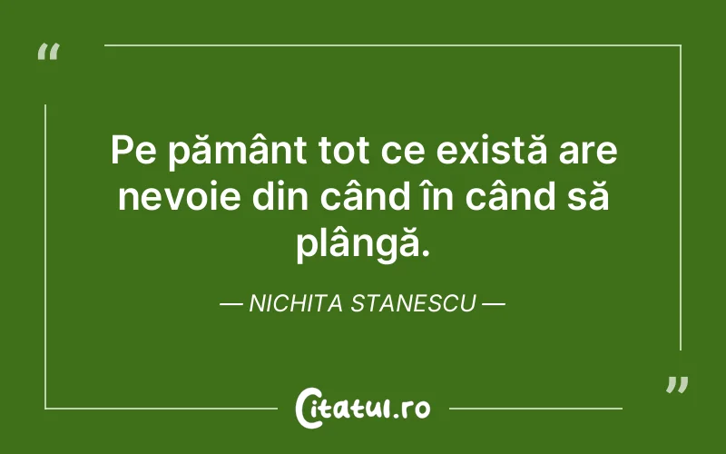 Citat Nichita Stanescu - citate viata