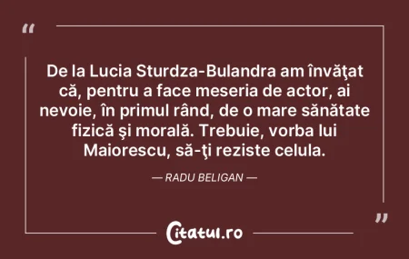 Nu ai nevoie de cuvinte pentru a spune c... Nu ai nevoie de cuvinte pentru a spune c...