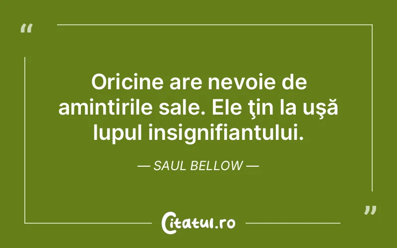 Citat Saul Bellow - citate viata