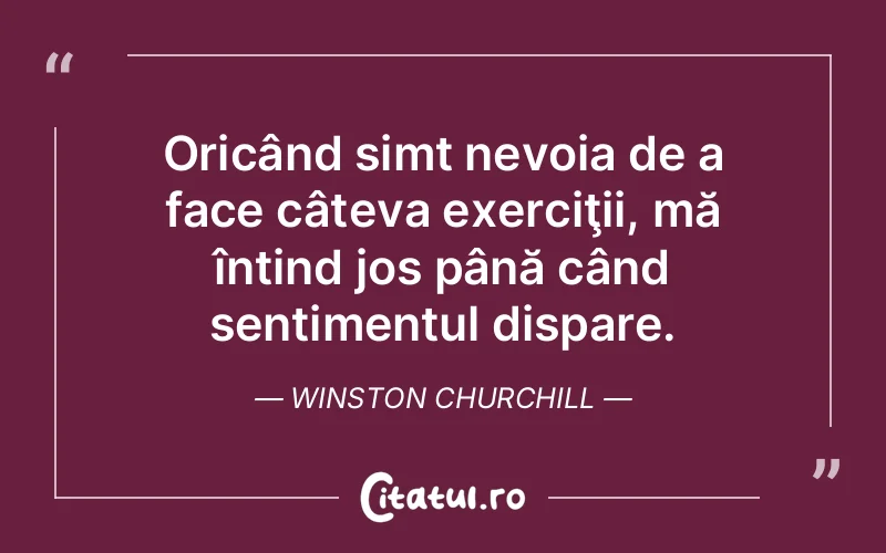 Citat Winston Churchill - citate viata