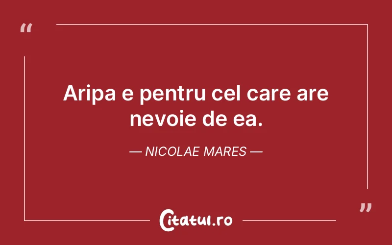 Citat Nicolae Mares - citate viata