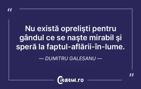 Unei teoreme i se poate imputa că ar fi...