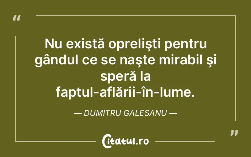 Citat Dumitru Galesanu - citate viata