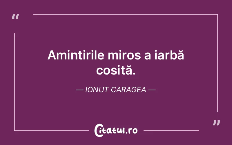 Citat Ionut Caragea - citate viata