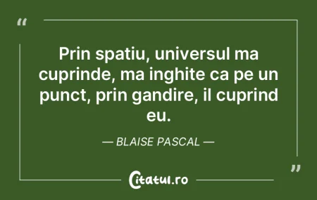 Reflectând, conchid că existența mea ... Reflectând, conchid că existența mea ...