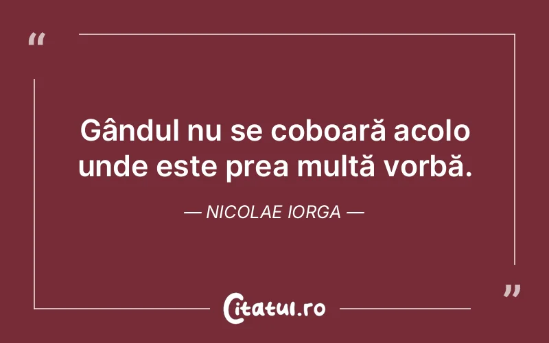 Citat Nicolae Iorga - citate viata