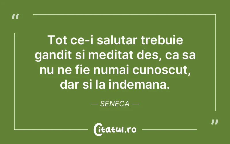 Citat Seneca - citate viata