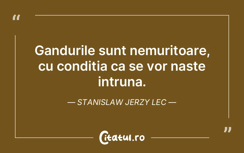 Citat Stanislaw Jerzy Lec - citate viata