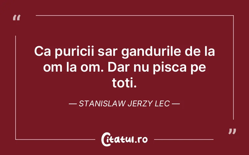 Citat Stanislaw Jerzy Lec - citate viata