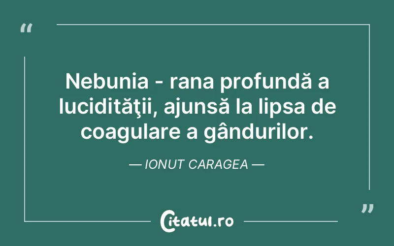 Citat Ionut Caragea - citate viata