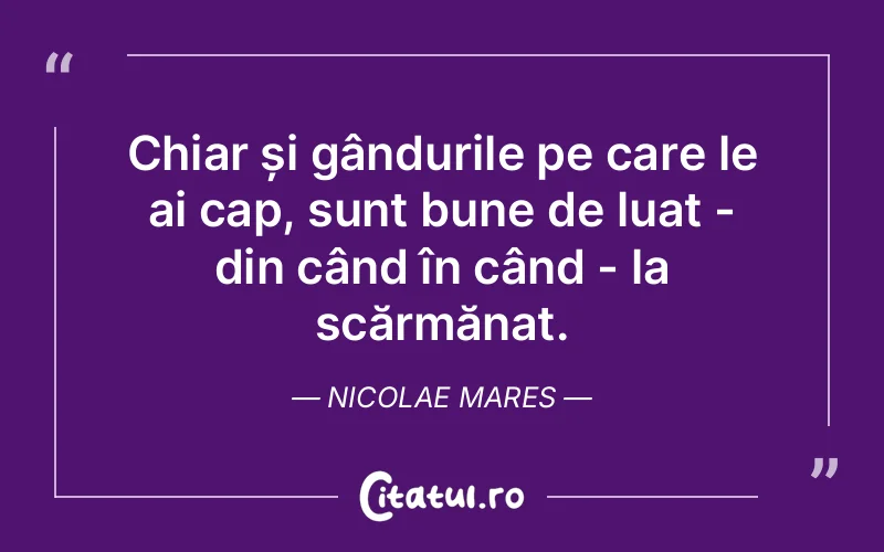 Citat Nicolae Mares - citate viata