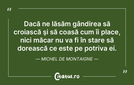 Prigonind, nu distrugi ideea; zdrobind c...