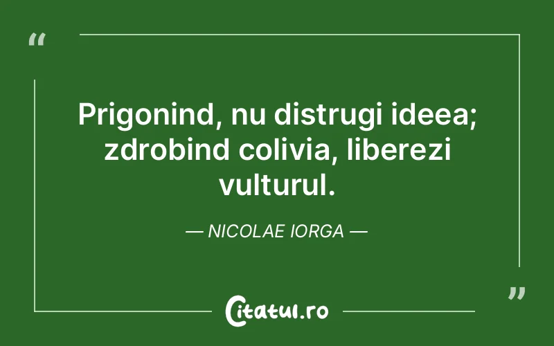 Citat Nicolae Iorga - citate viata