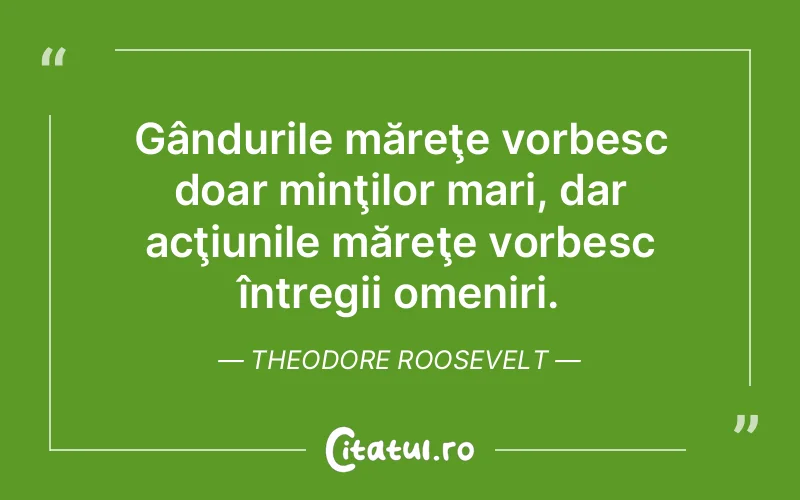 Citat Theodore Roosevelt - citate viata