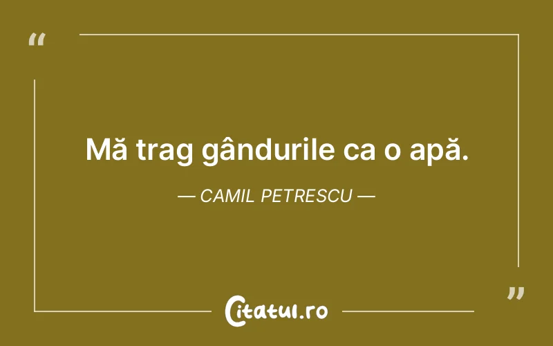 Citat Camil Petrescu - citate viata