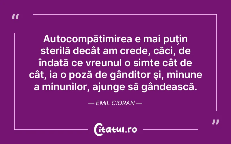 Citat Emil Cioran - citate viata