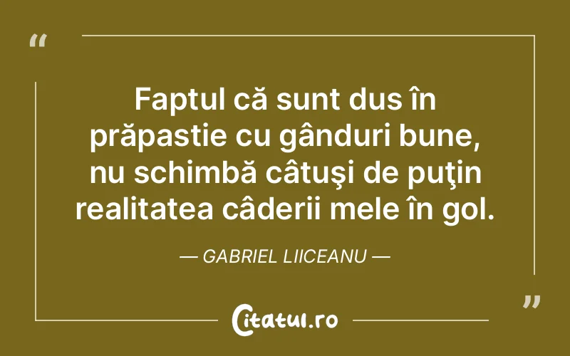 Citat Gabriel Liiceanu - citate viata