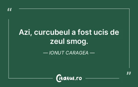 Ai pierdut o luptă, poţi plânge. Apoi... Ai pierdut o luptă, poţi plânge. Apoi...