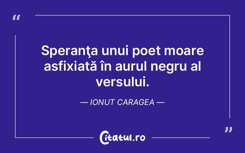 Citat Ionut Caragea - citate viata