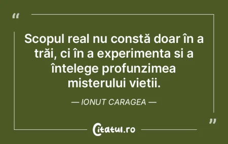 Dacă te loveşti de un zid, îţi prelu... Dacă te loveşti de un zid, îţi prelu...