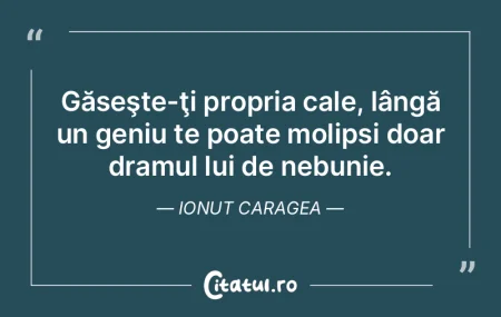 Poetul – magicianul cuvântului şi cr... Poetul – magicianul cuvântului şi cr...